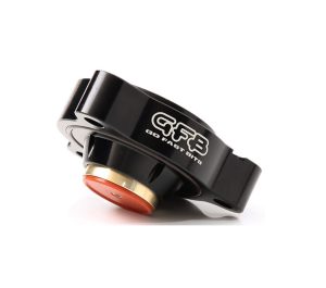 GFB DV+ T9356  BMW N55B30A 335i F30, M135i F20/F21, Fiat Abarth vs.